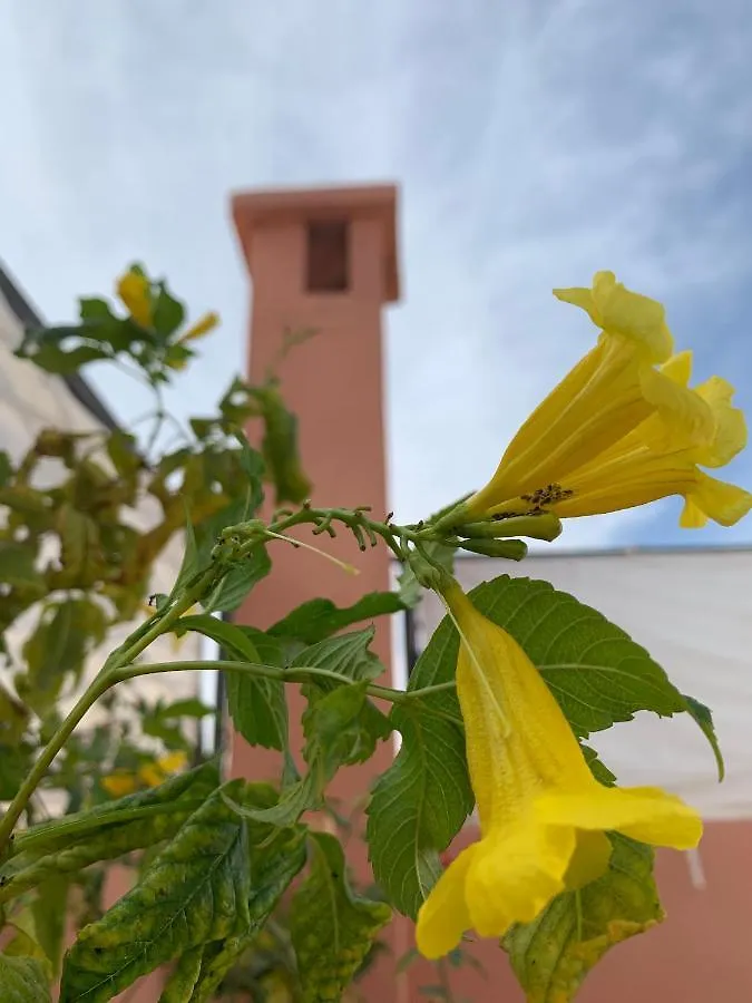 Riad Dar Mamouni Hotel Marrakesh Morocco